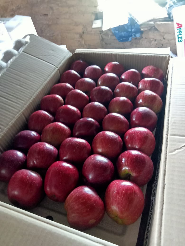 🍎 Royal Delicious Apples – Straight from Himachal’s Heart