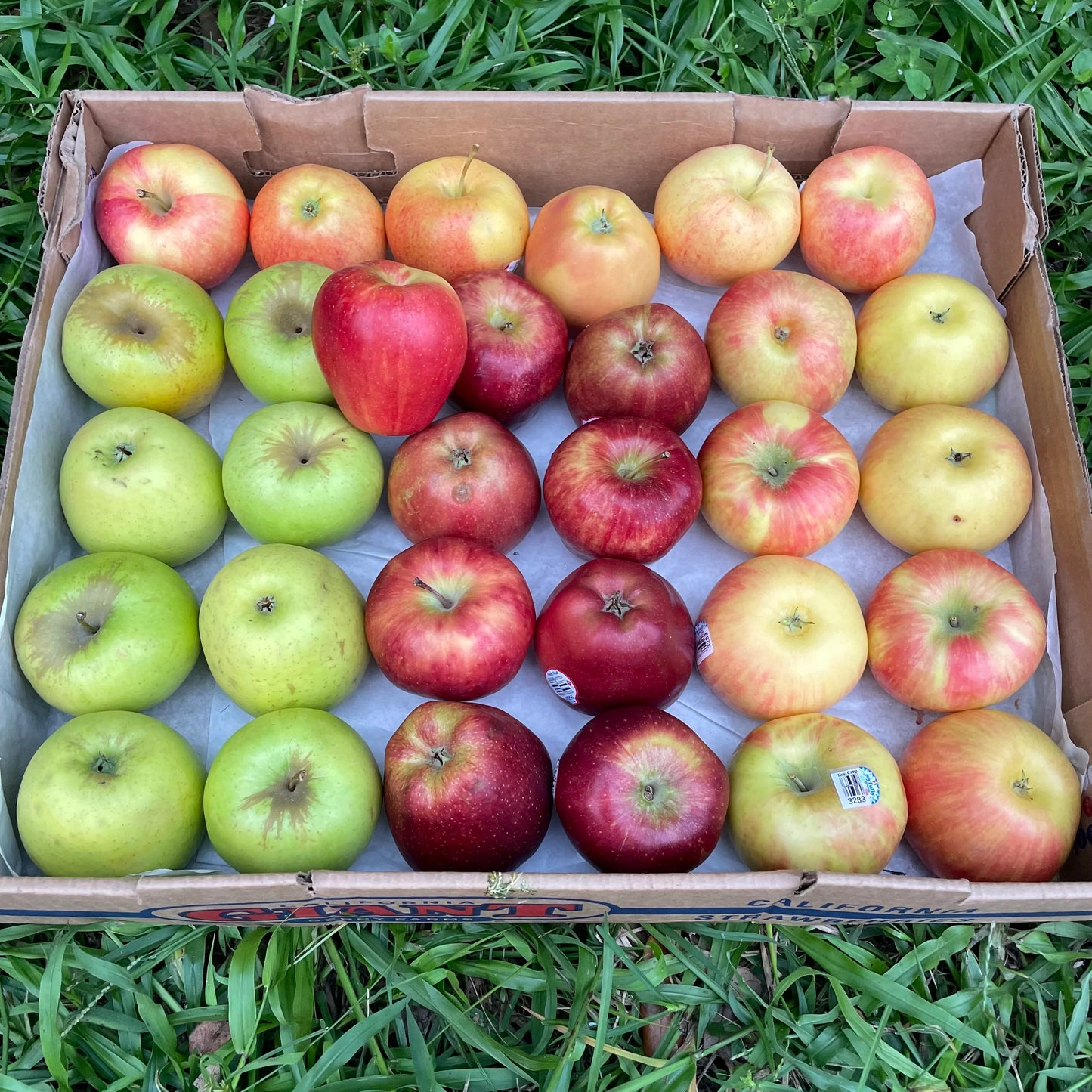 ππ KhaduFarm Assorted Fruit Box β Handpicked Apples & Pears, Mixed for Ultimate Taste