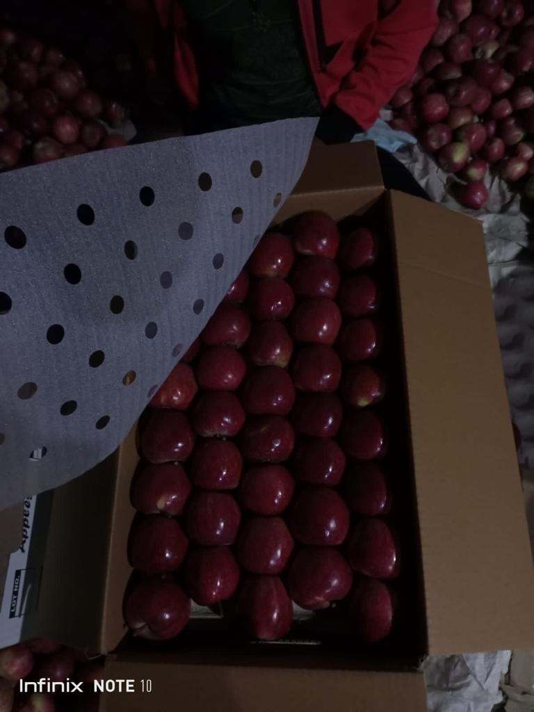 🍎 Royal Delicious Apples – Straight from Himachal’s Heart