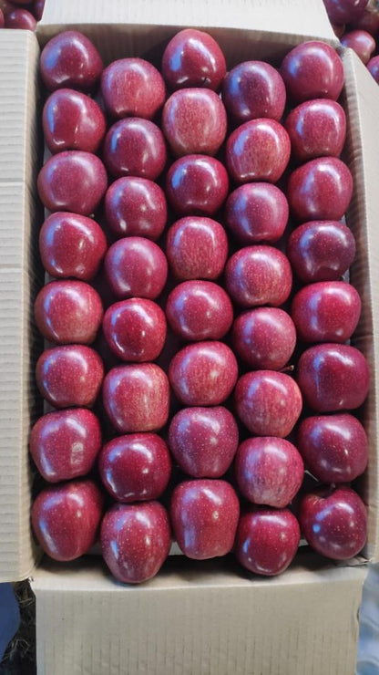 🍎 Royal Delicious Apples – Straight from Himachal’s Heart
